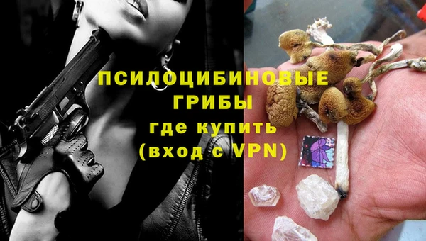 герыч Алексин