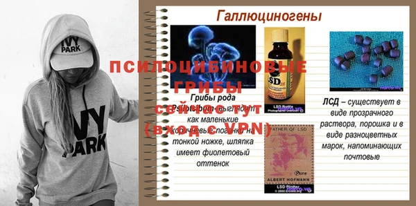 apvp Горнозаводск