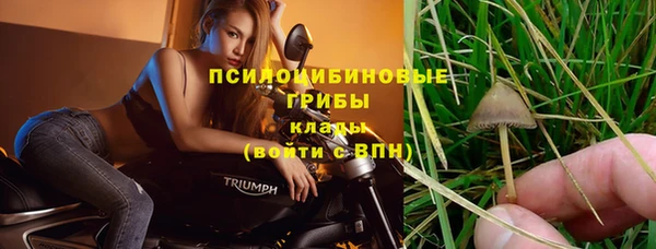 герыч Алексин