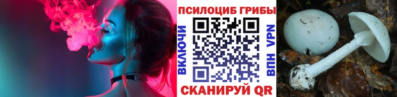 Галлюциногенные грибы GOLDEN TEACHER  купить закладку  Хвалынск 